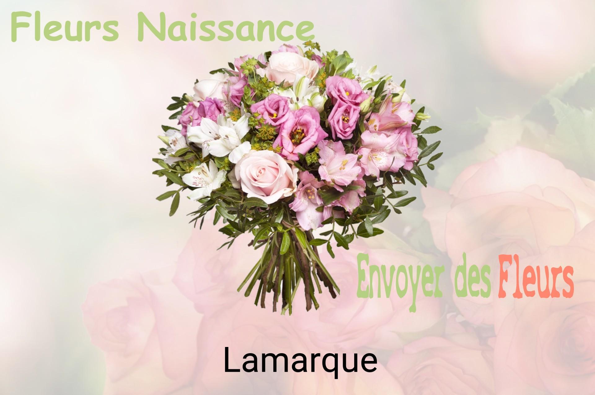 Bouquet de fleurs de naissance livré à Lamarque